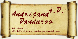 Andrijana Pandurov vizit kartica